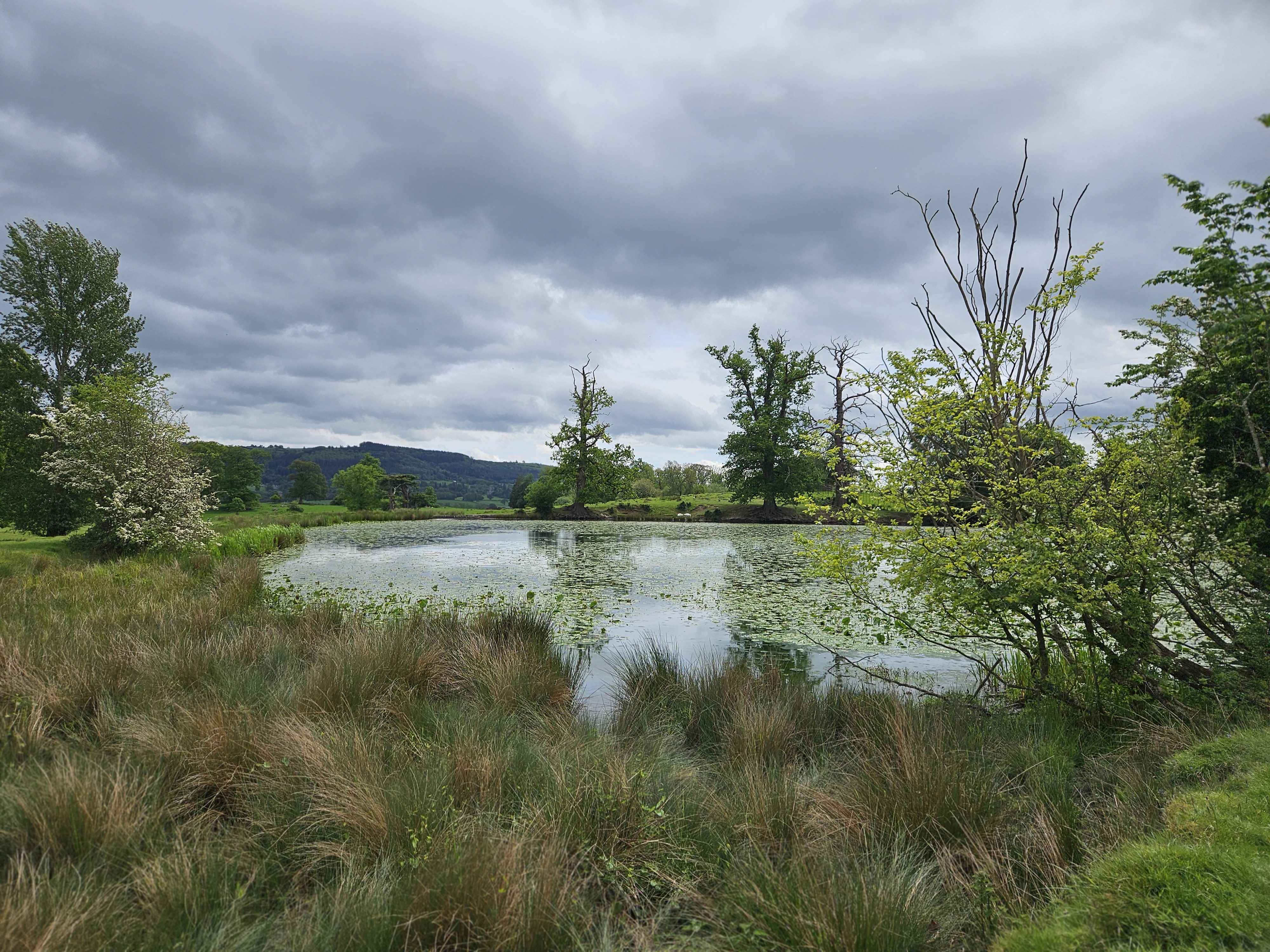 Free Day Out In Welshpool